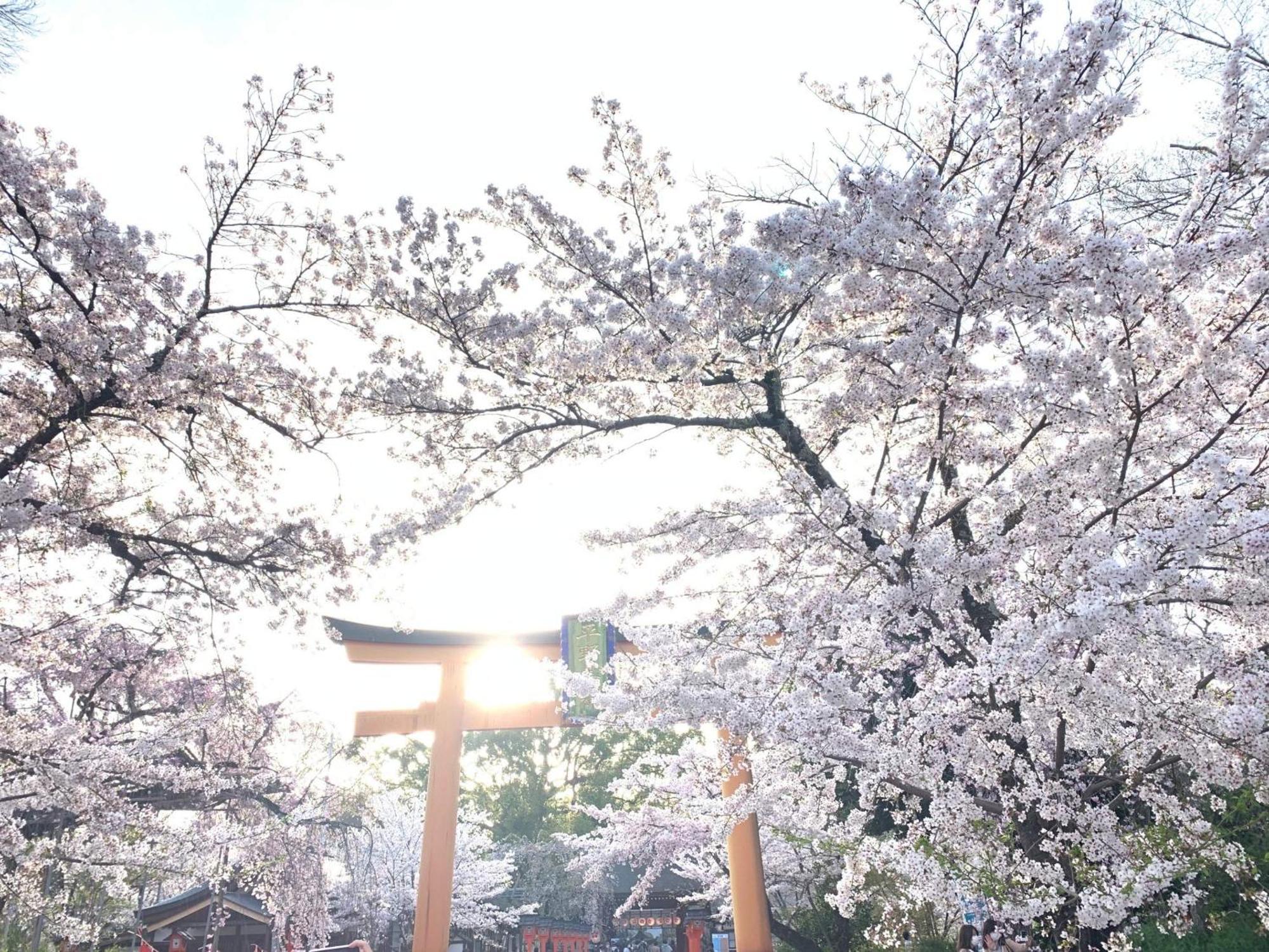 Kyounoyado Hana Nishijin - Kimono No Yado Κιότο Εξωτερικό φωτογραφία
